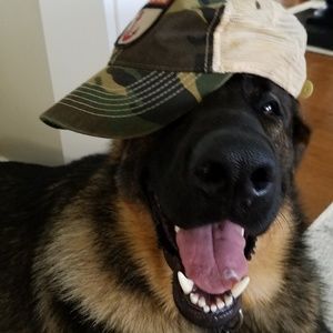 Meet your Posher, Bridget